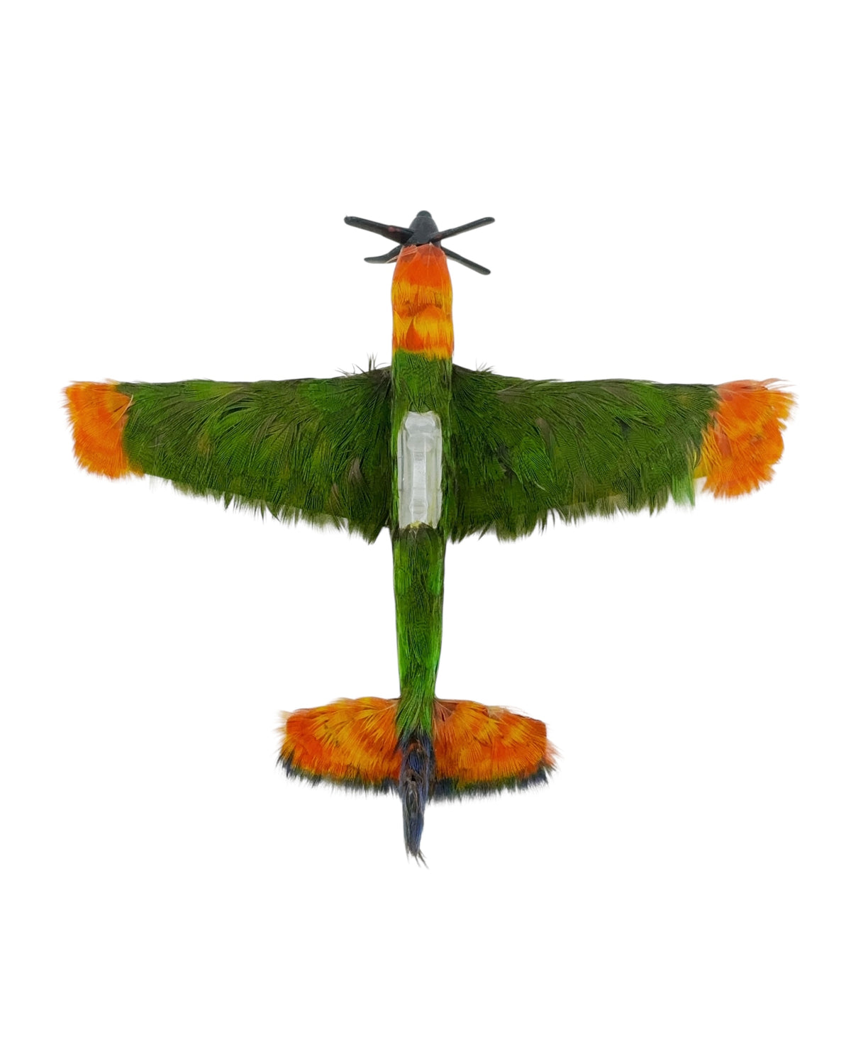 Lorikeet Plane Brooch by Emily Valentine