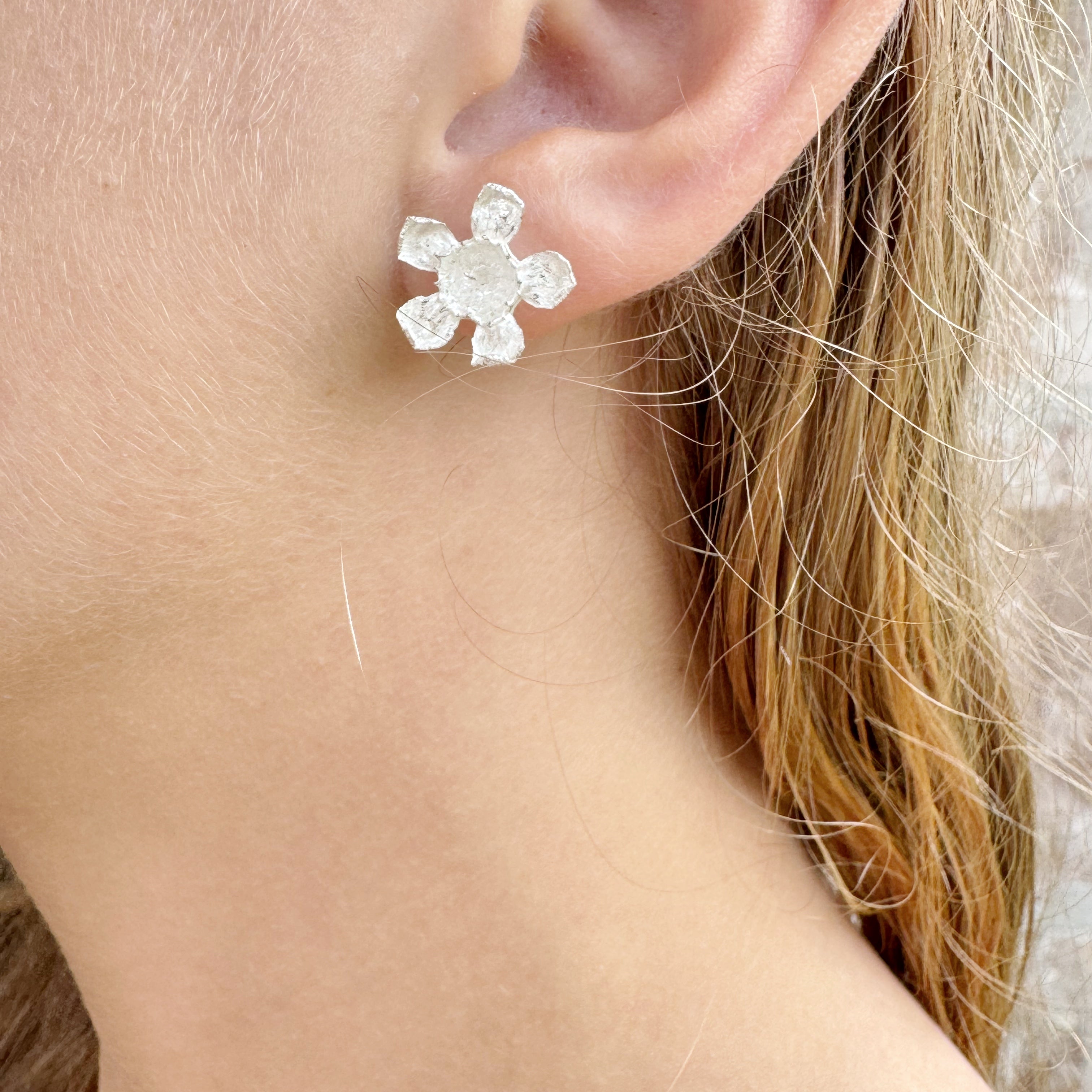 Geraldton Wax Silver Studs - Anja Jagsch