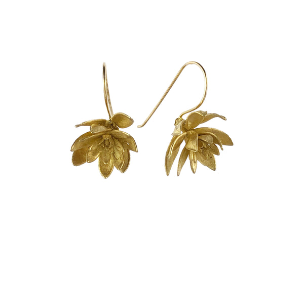 Westringia Gold Plated Earrings - Anja Jagsch