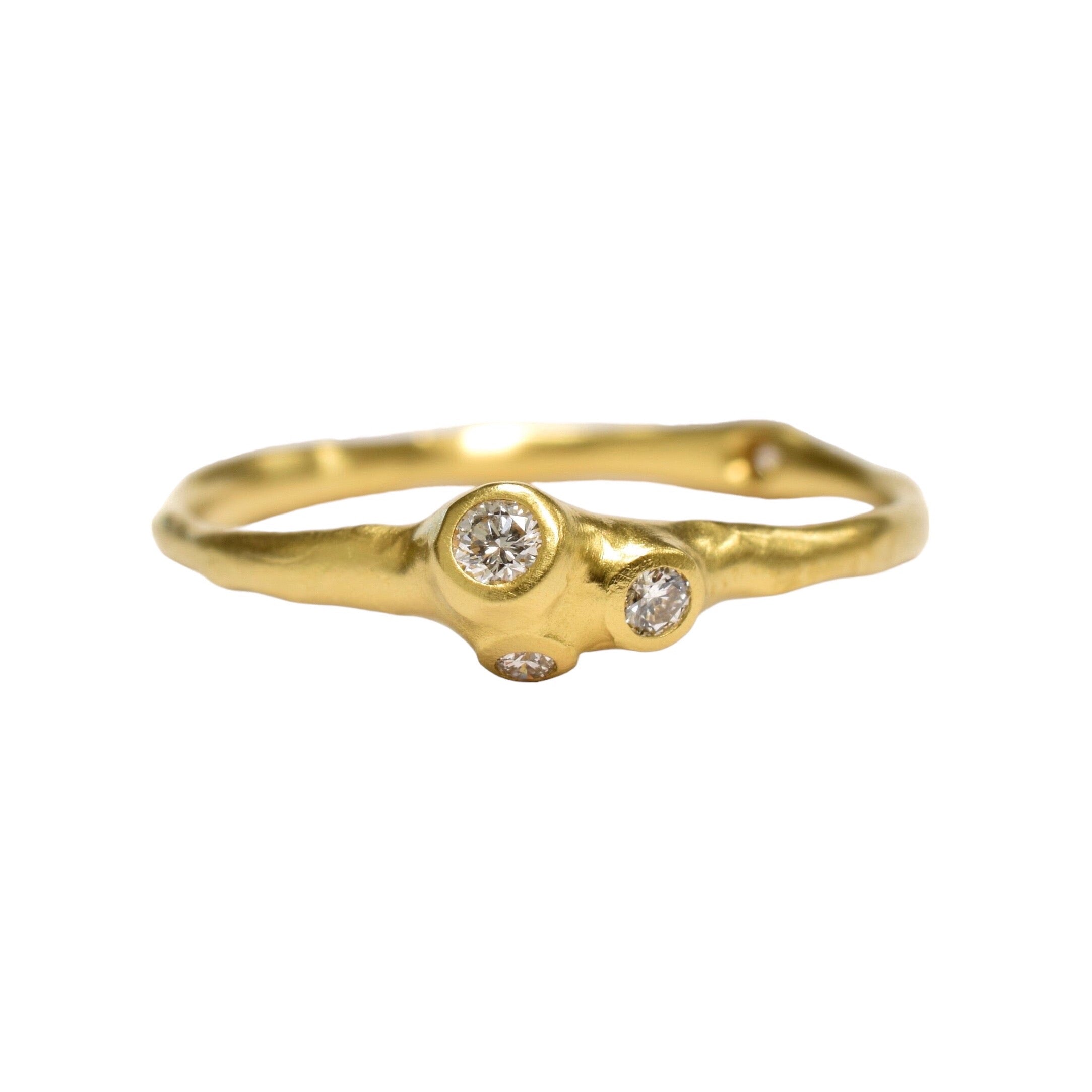 Petite Centre Custer Barnacle Ring - Johnny Ninos