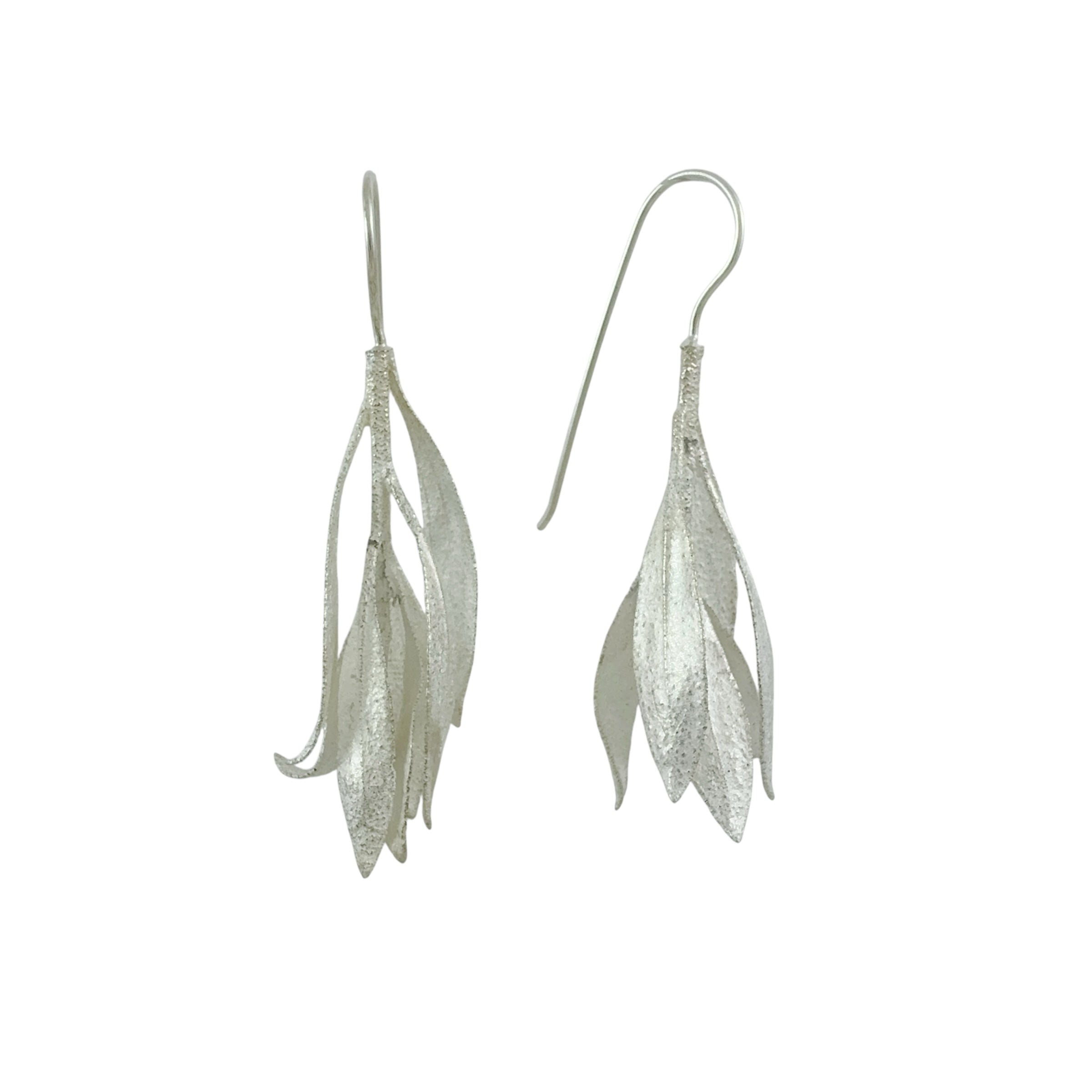Myoporum Silver Hooks - Anja Jagsch