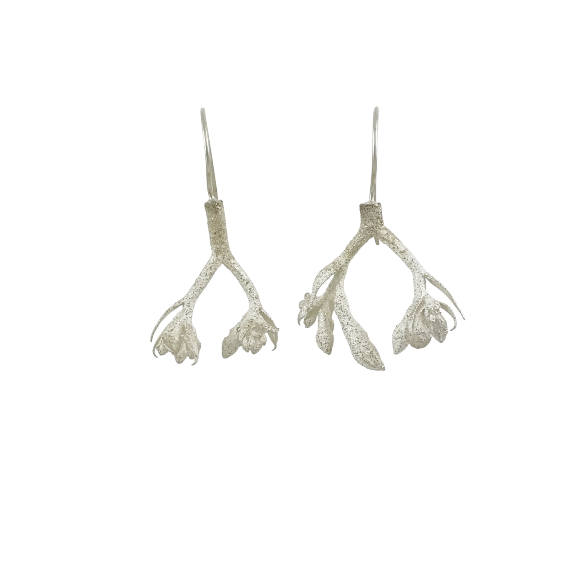 Kangaroo Paw Earrings - Anja Jagsch