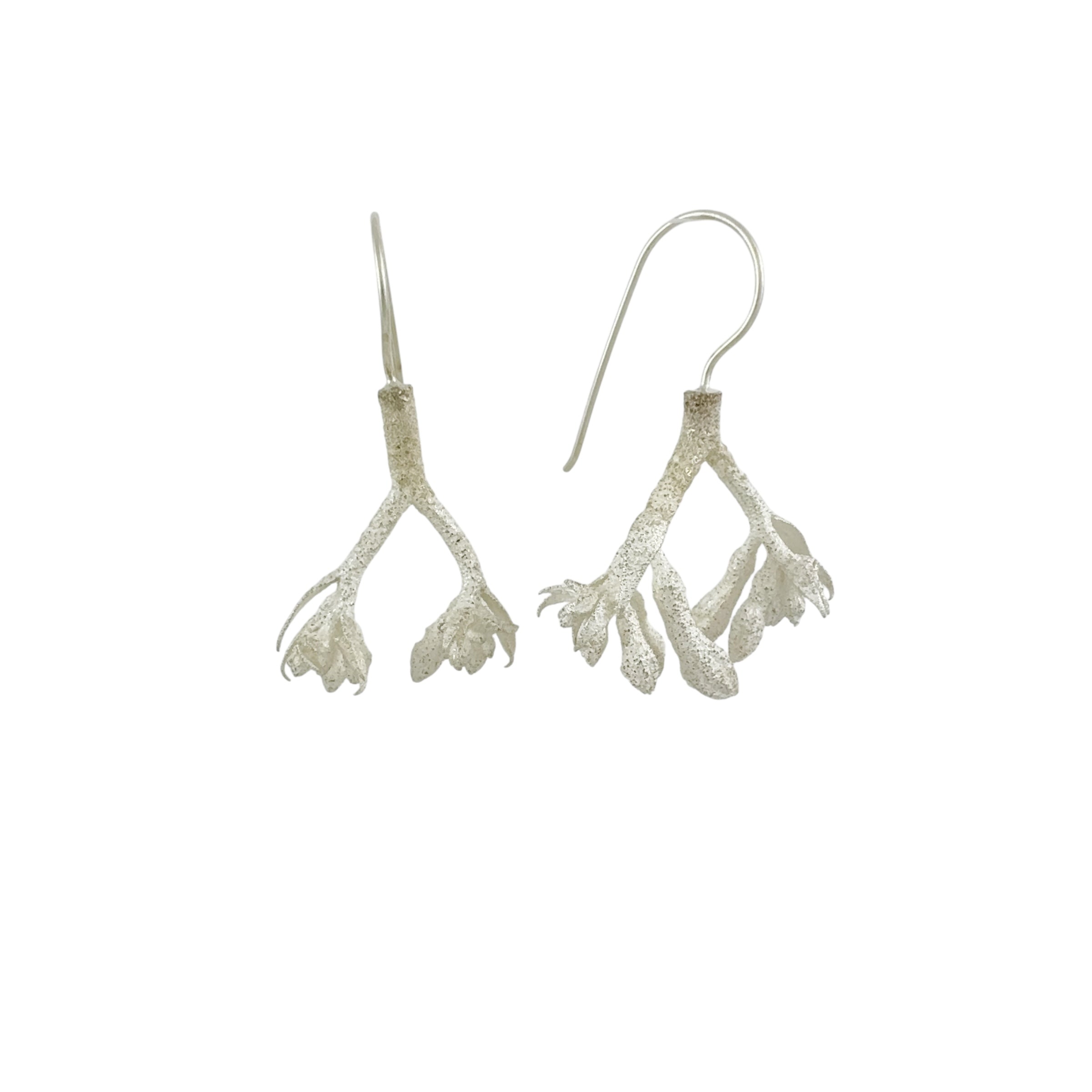 Kangaroo Paw Earrings - Anja Jagsch