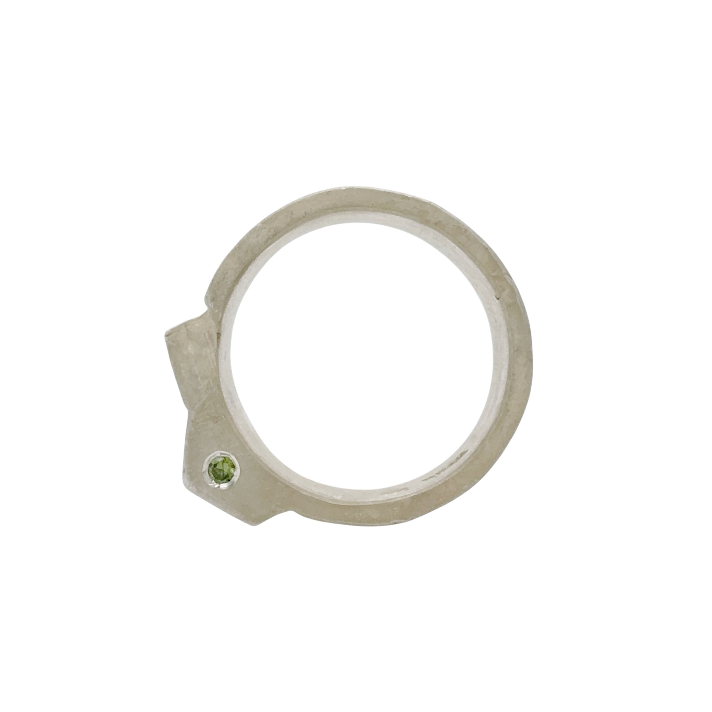 Offcut #31 Ring - Welfe Bowyer