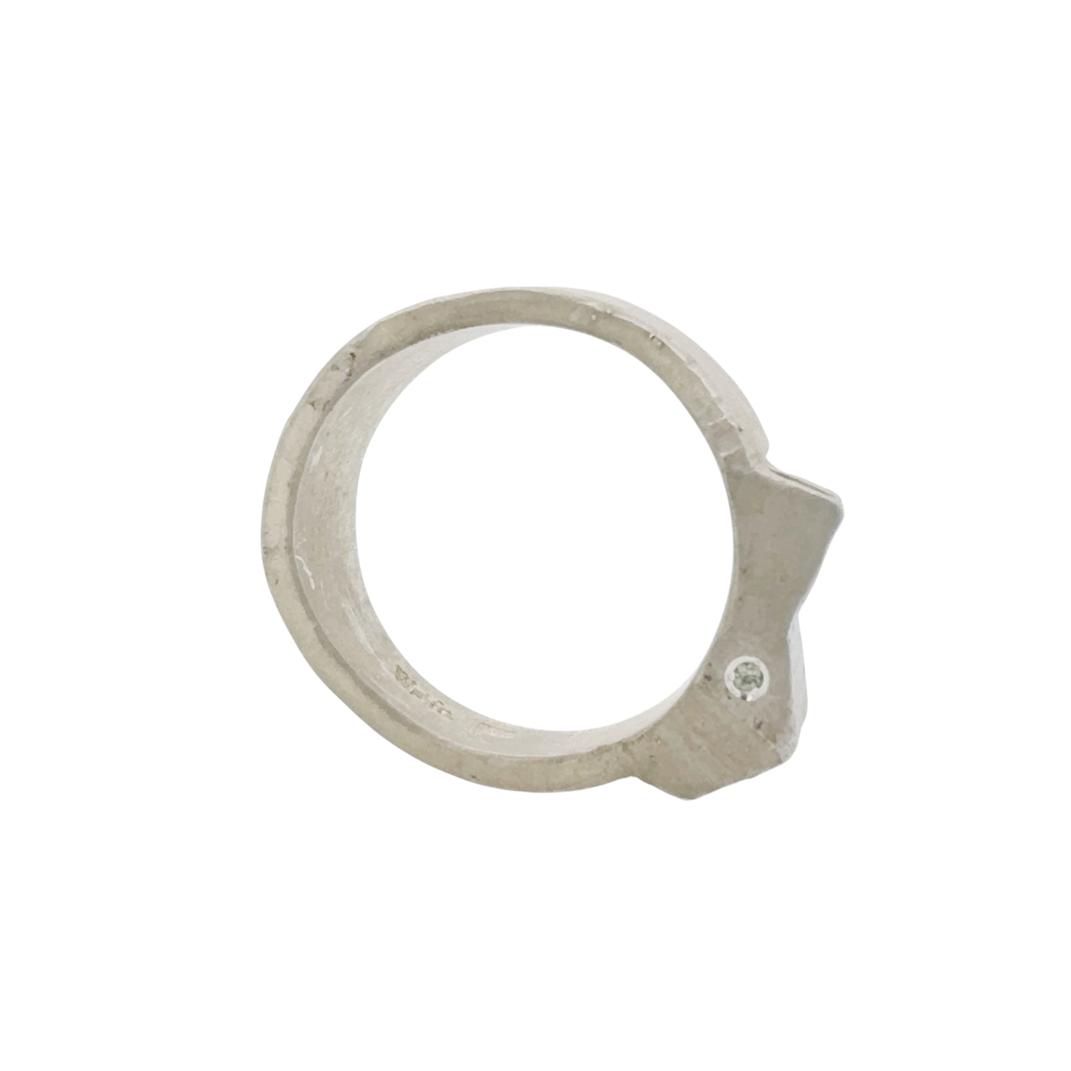 Offcut #31 Ring - Welfe Bowyer