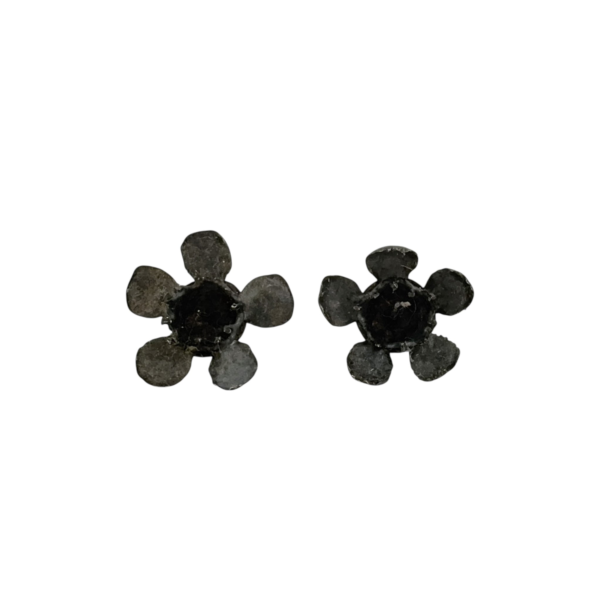 Geraldton Wax Oxidised Studs - Anja Jagsch