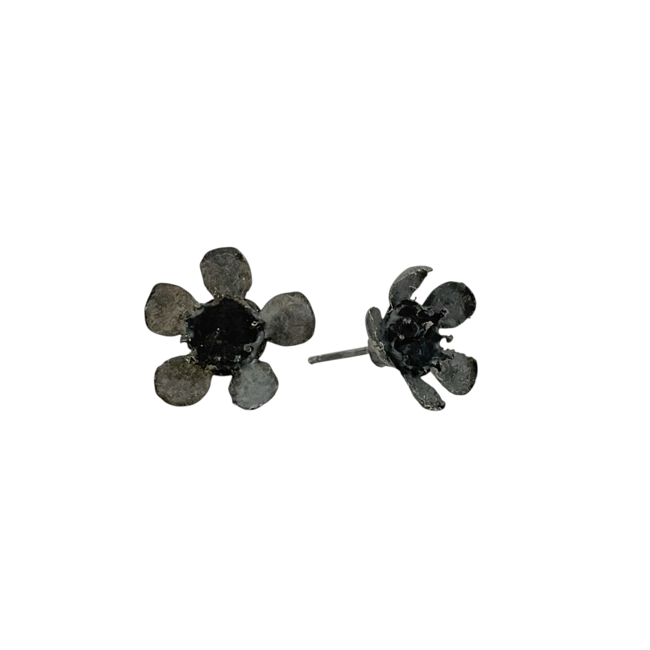 Geraldton Wax Oxidised Studs - Anja Jagsch