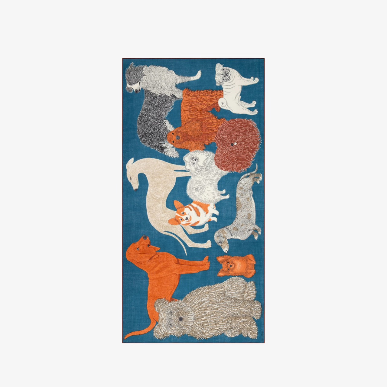 Toutou Wool Scarf in Duck Blue - Inoui Editions