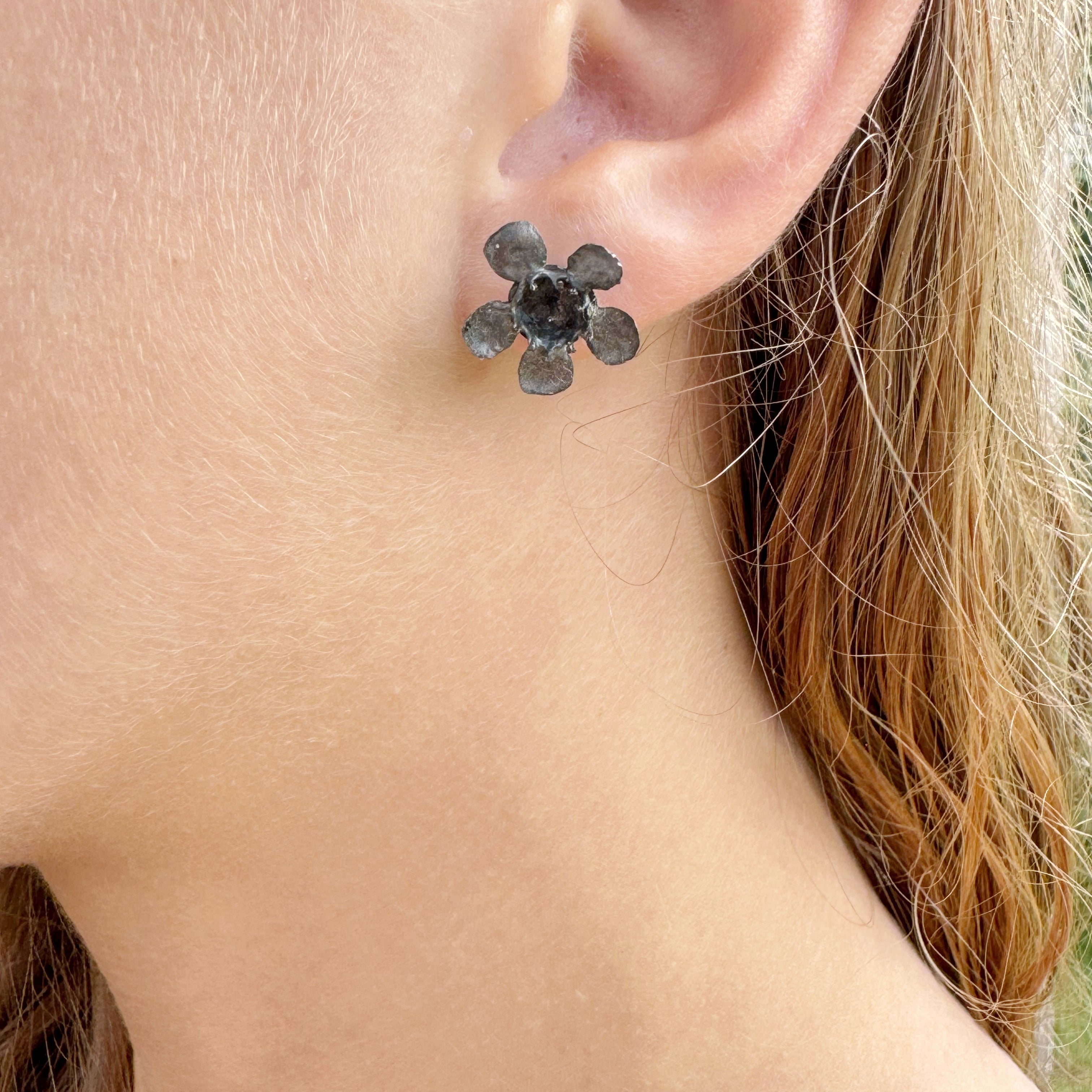 Geraldton Wax Oxidised Studs - Anja Jagsch