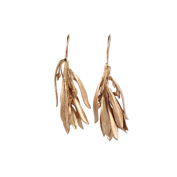 Myoporum Rose Gold Plated Earrings - Anja Jagsch
