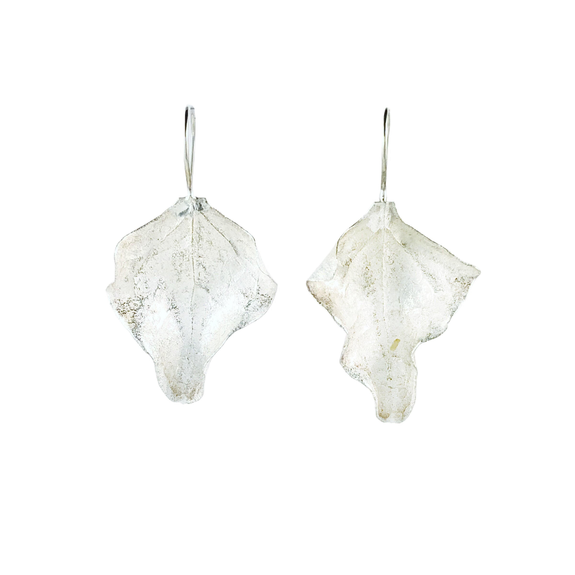 Saltbush Leaf Hooks - Anja Jagsch