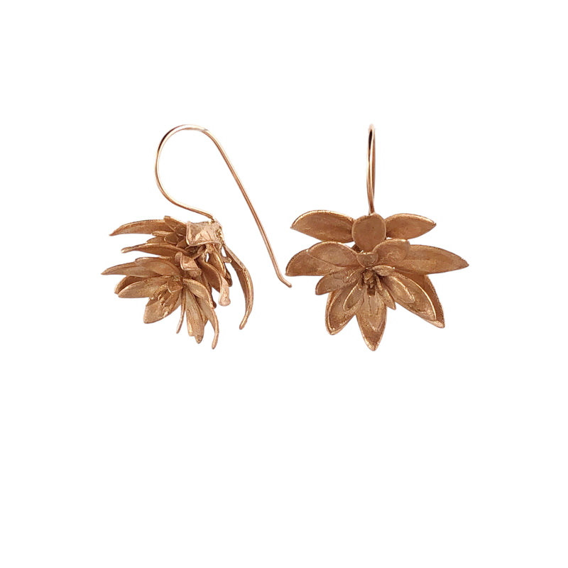 Westringia Rose Gold Plated Earrings - Anja Jagsch