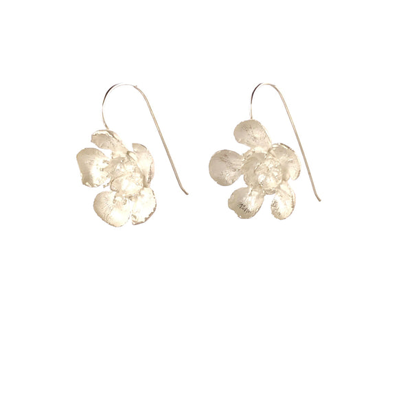 Geraldton Wax Flower Earrings - Anja Jagsch