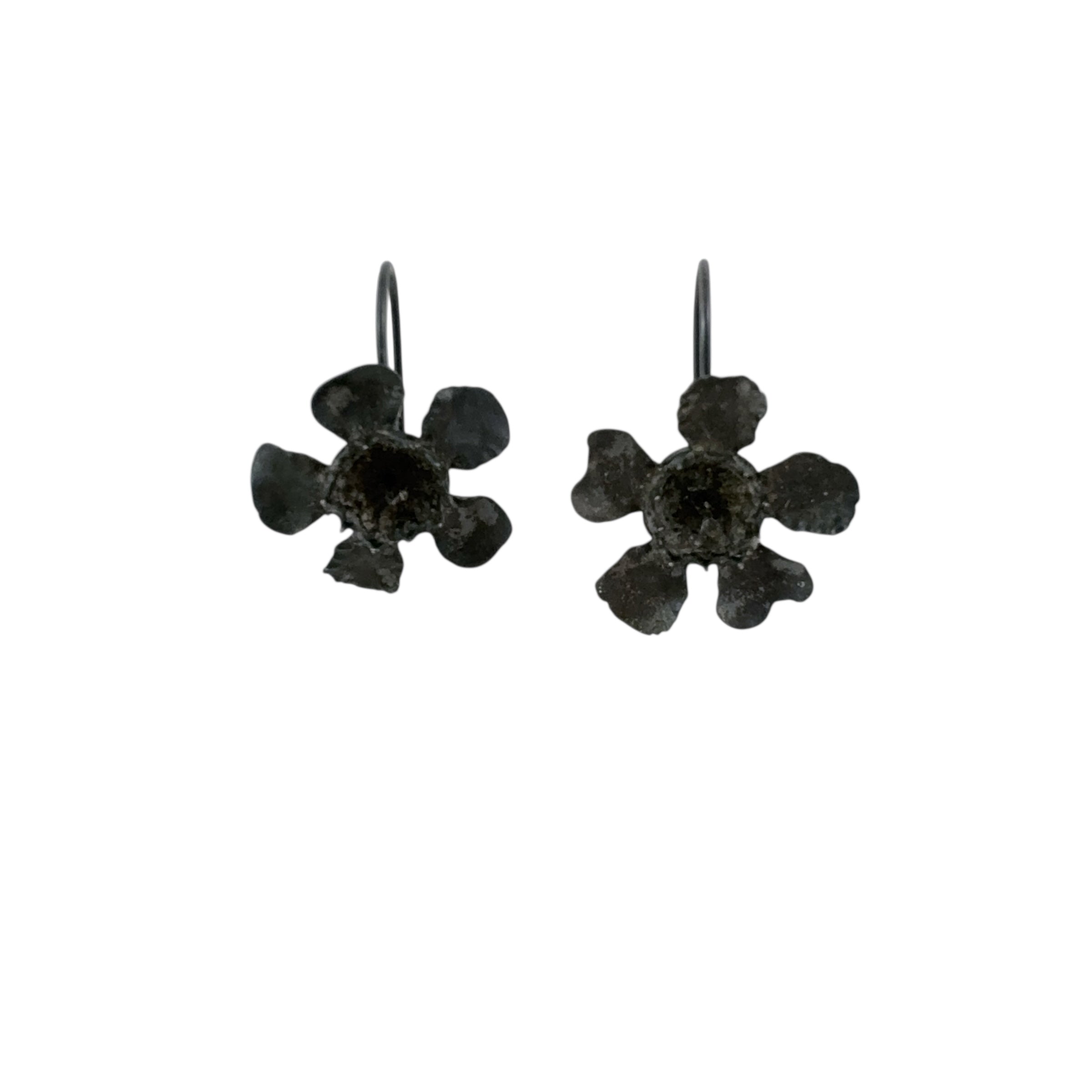 Geraldton Wax Oxidised Hooks - Anja Jagsch