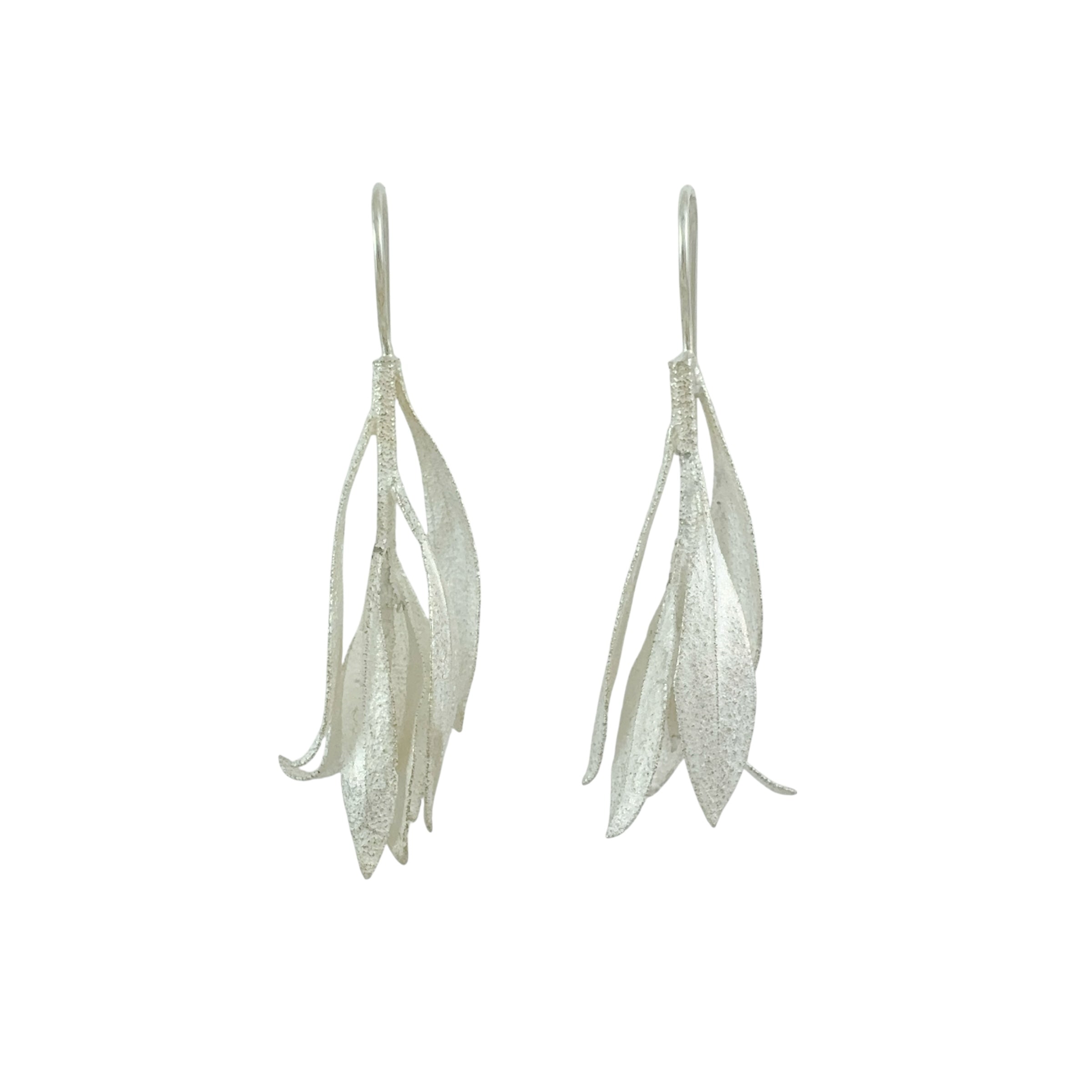 Myoporum Silver Hooks - Anja Jagsch