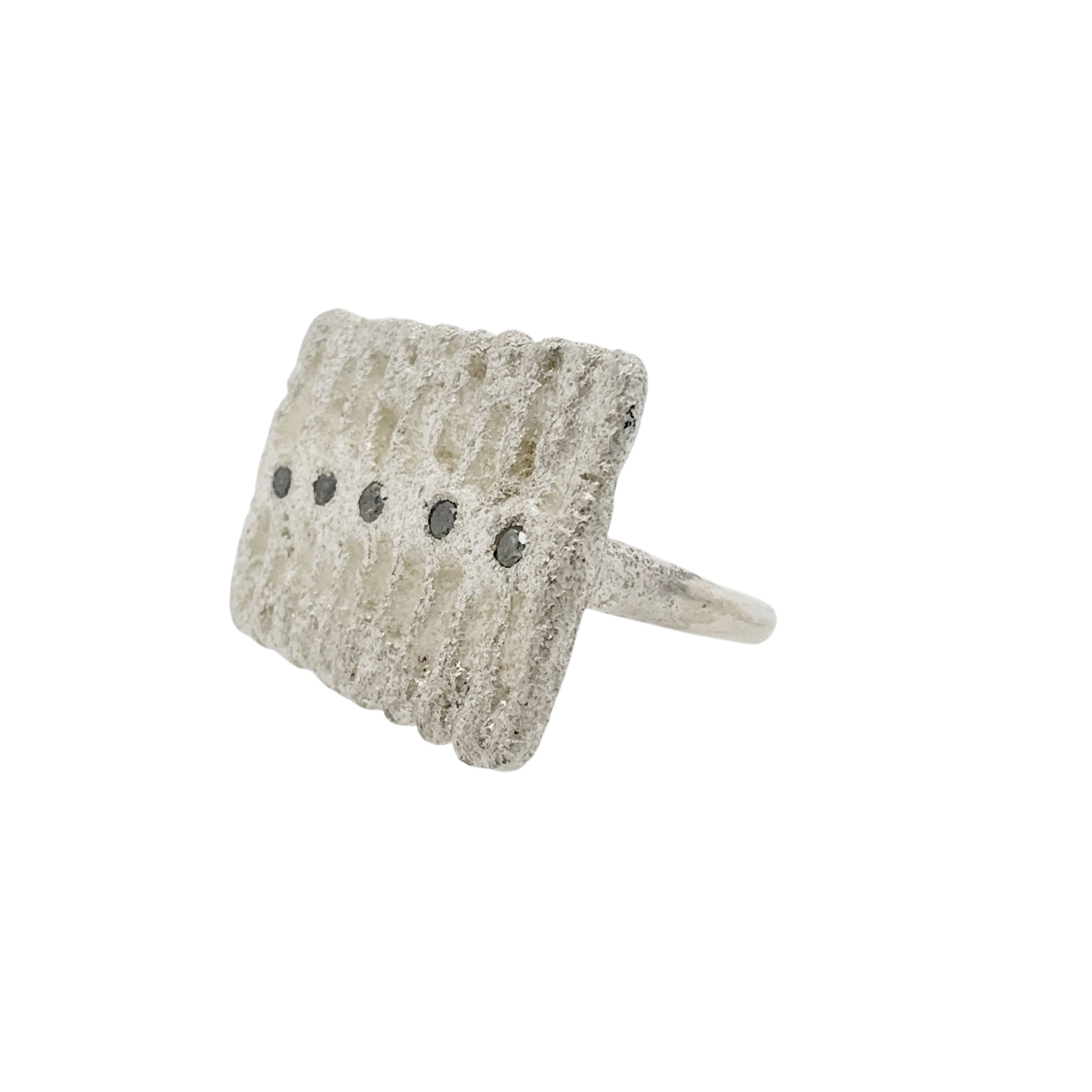 Past/Present Ring I - Virginia Sprague