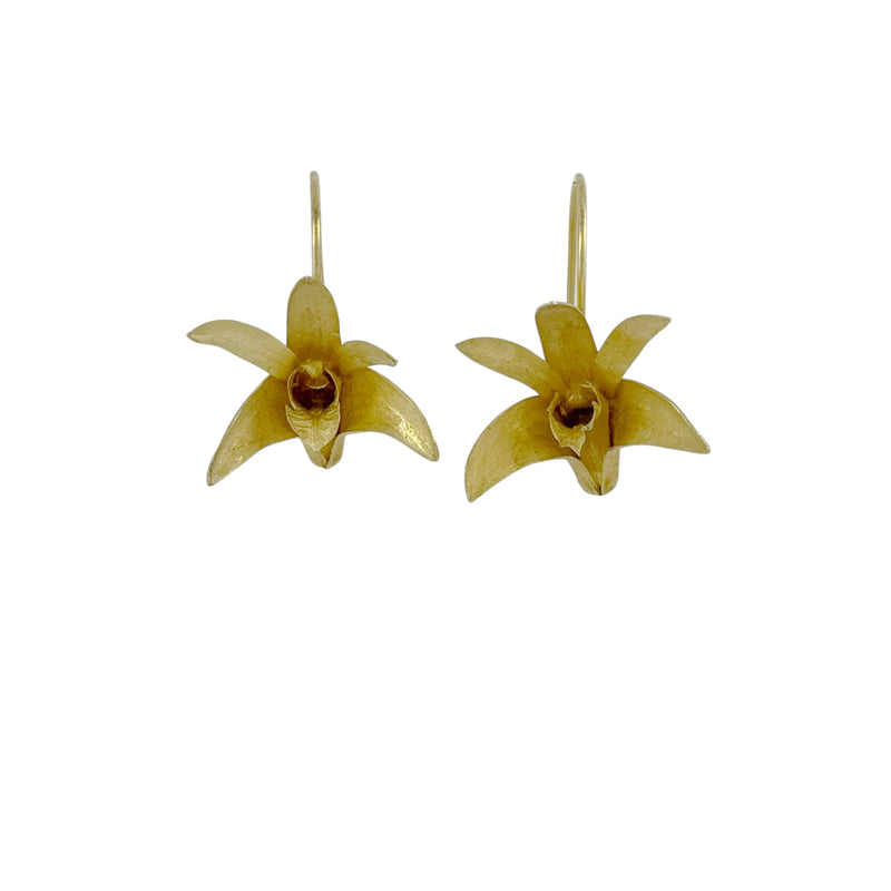 Sydney Rock Orchid Gold Plated Earrings - Anja Jagsch