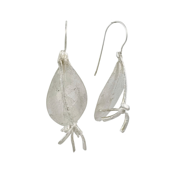 Port Lincoln Acacia Earrings - Anja Jagsch
