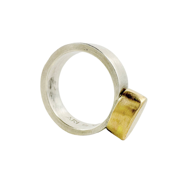 Oval Skinny 9ct Gold Ring - Ari Athans