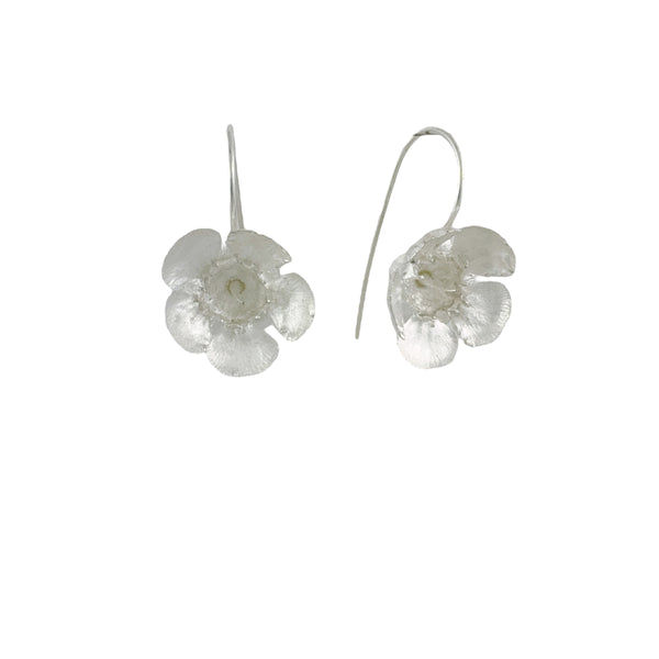 Geraldton Wax Silver Earrings - Anja Jagsch