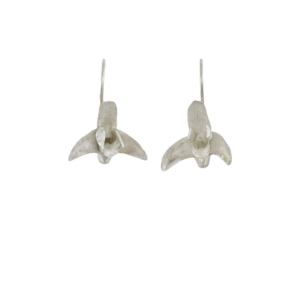 Sydney Rock Orchid Earrings - Anja Jagsch