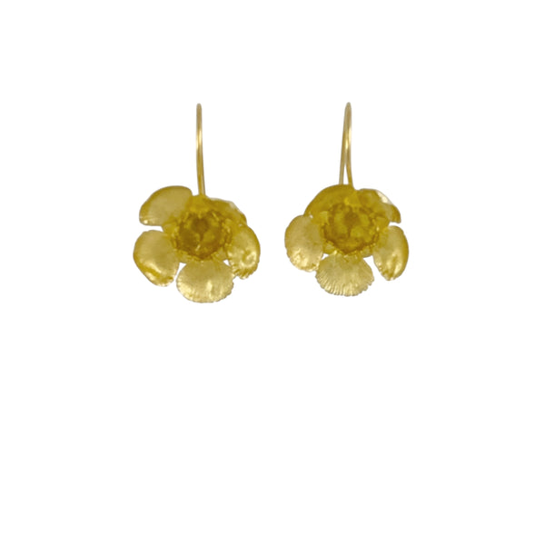 Geraldton Wax Gold Plated Earrings - Anja Jagsch