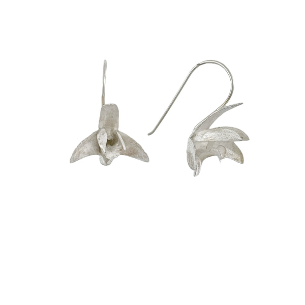 Sydney Rock Orchid Earrings - Anja Jagsch