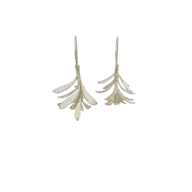 Eriostemon Earrings - Anja Jagsch