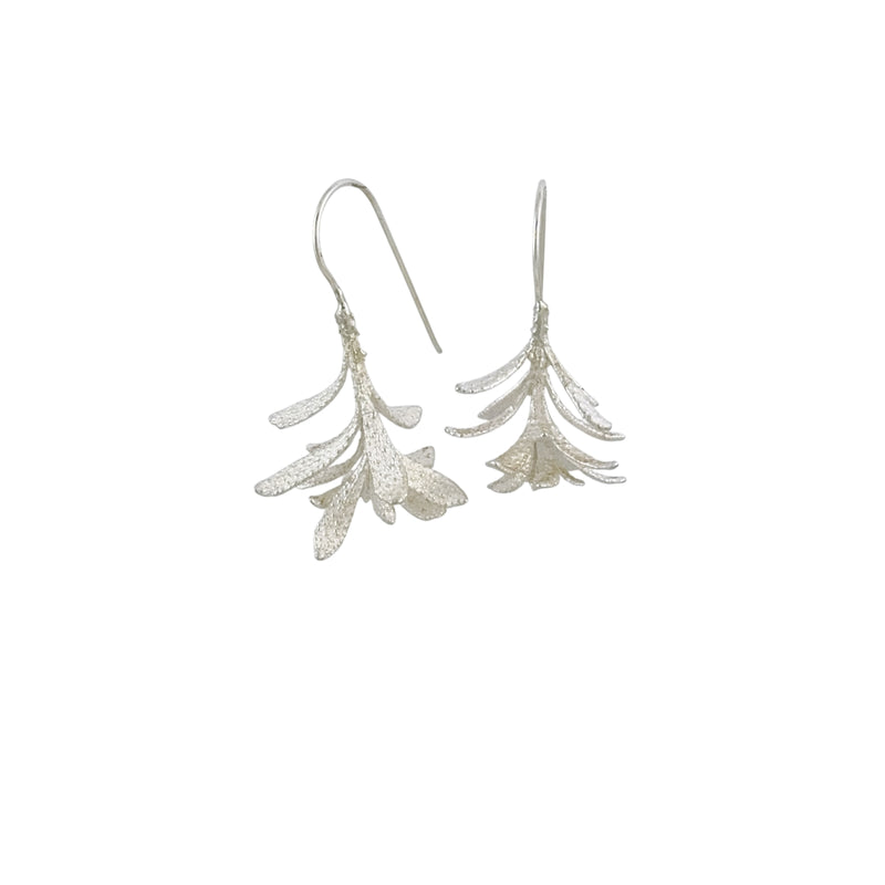 Eriostemon Earrings - Anja Jagsch