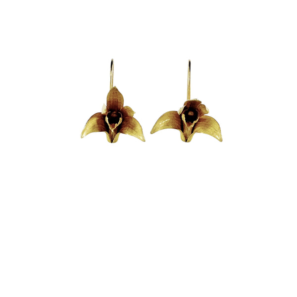 Sydney Rock Orchid Gold Plated Earrings - Anja Jagsch