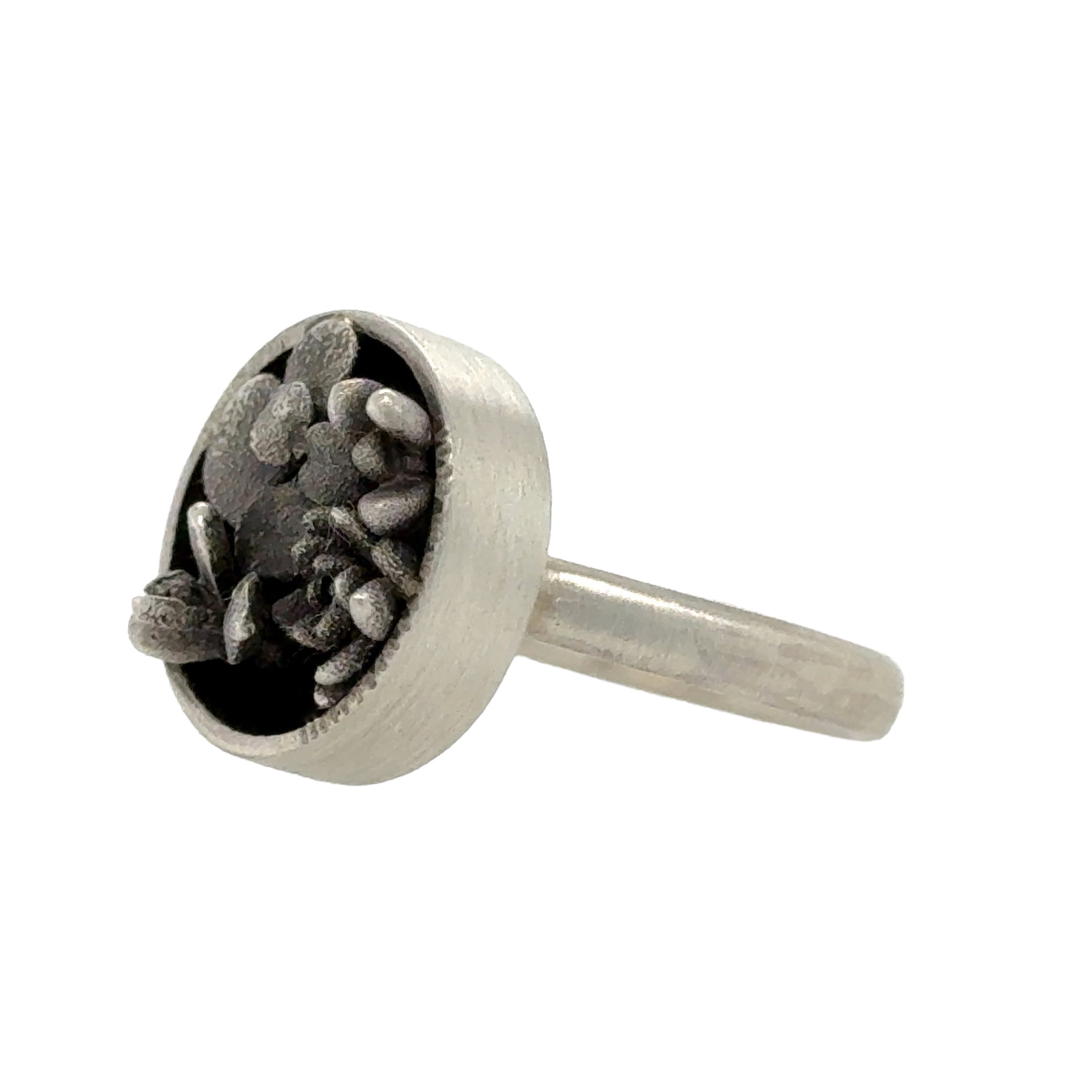 Pot Plant Ring - Emma Kidson