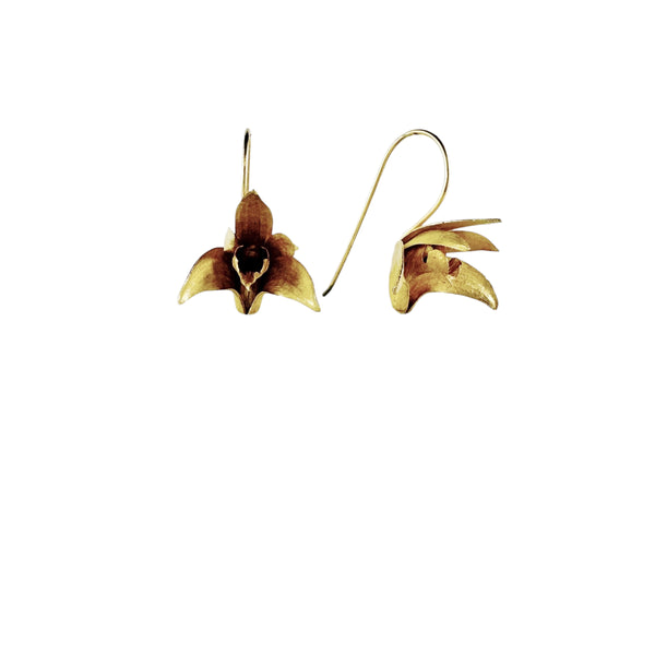 Sydney Rock Orchid Gold Plated Earrings - Anja Jagsch