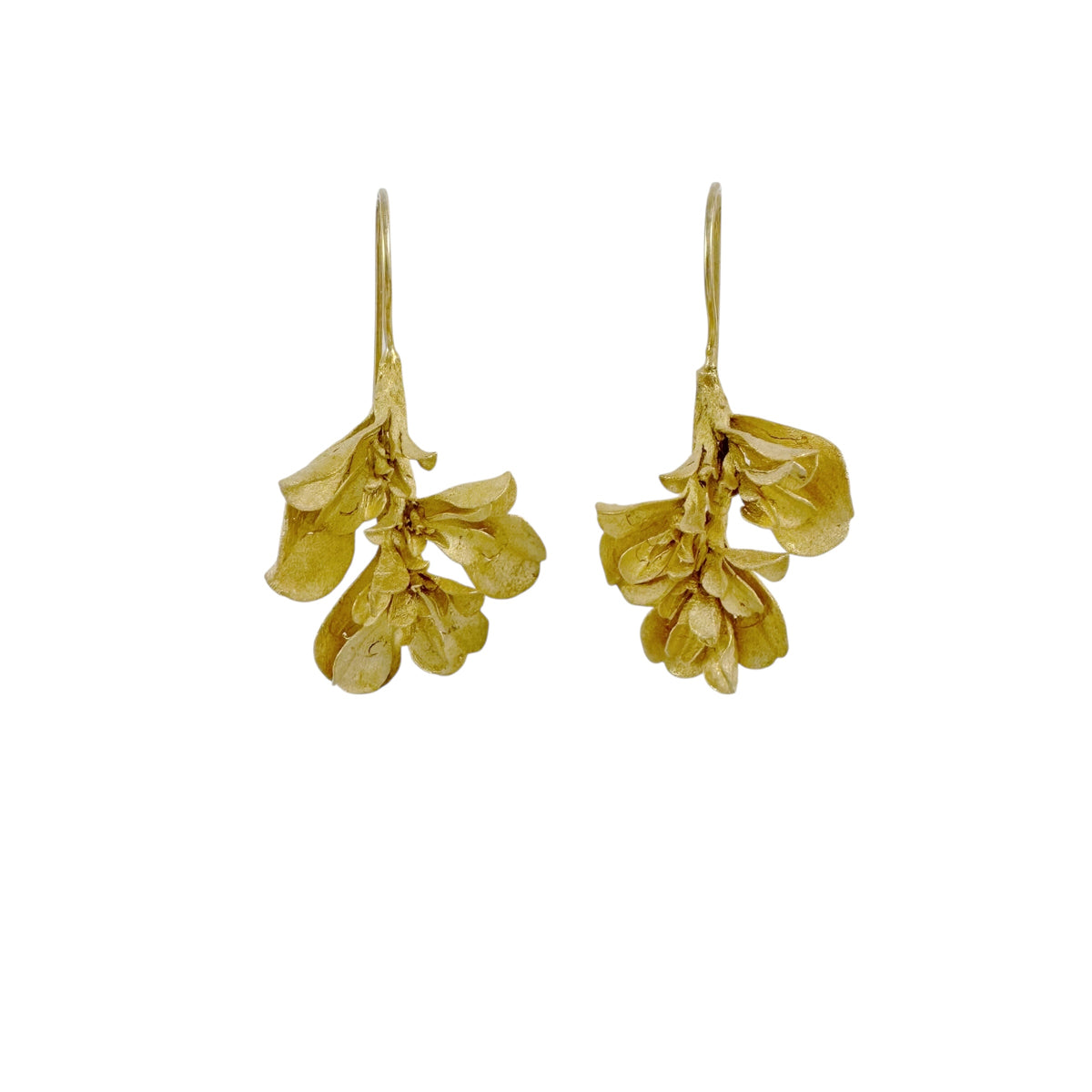 Galenia Gold Plated Earrings - Anja Jagsch