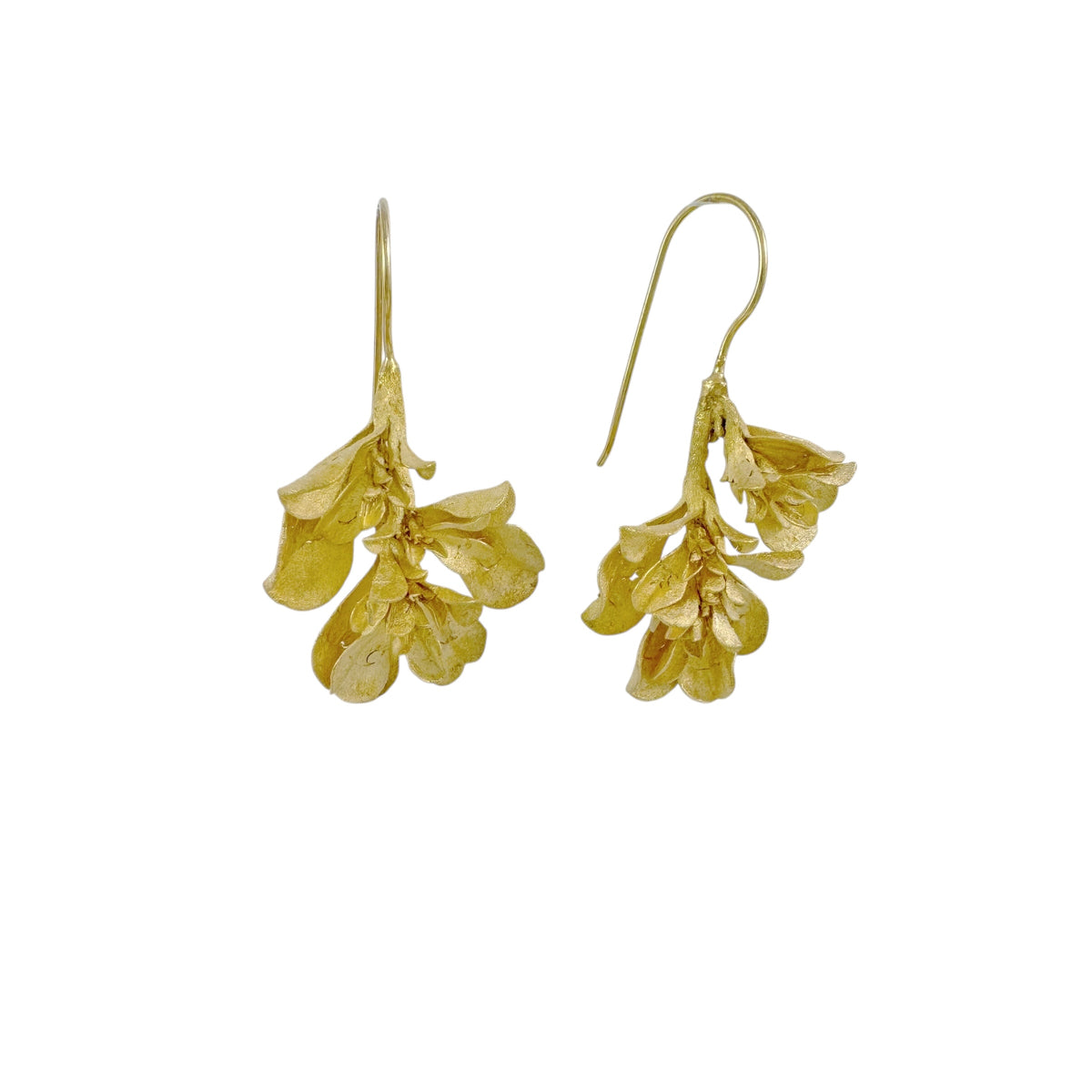 Galenia Gold Plated Earrings - Anja Jagsch