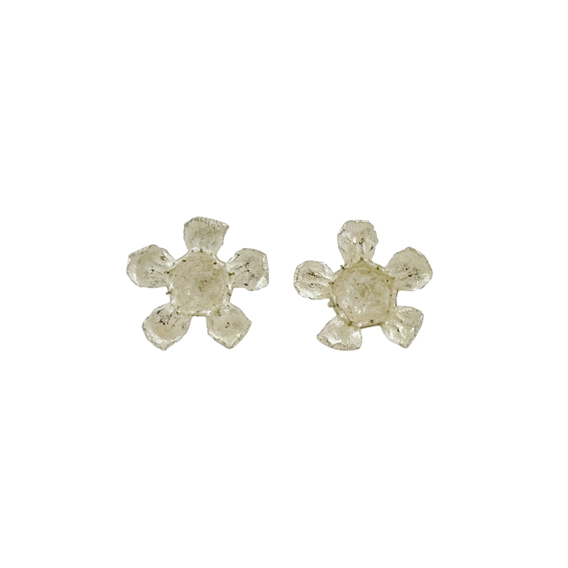 Geraldton Wax Silver Studs - Anja Jagsch