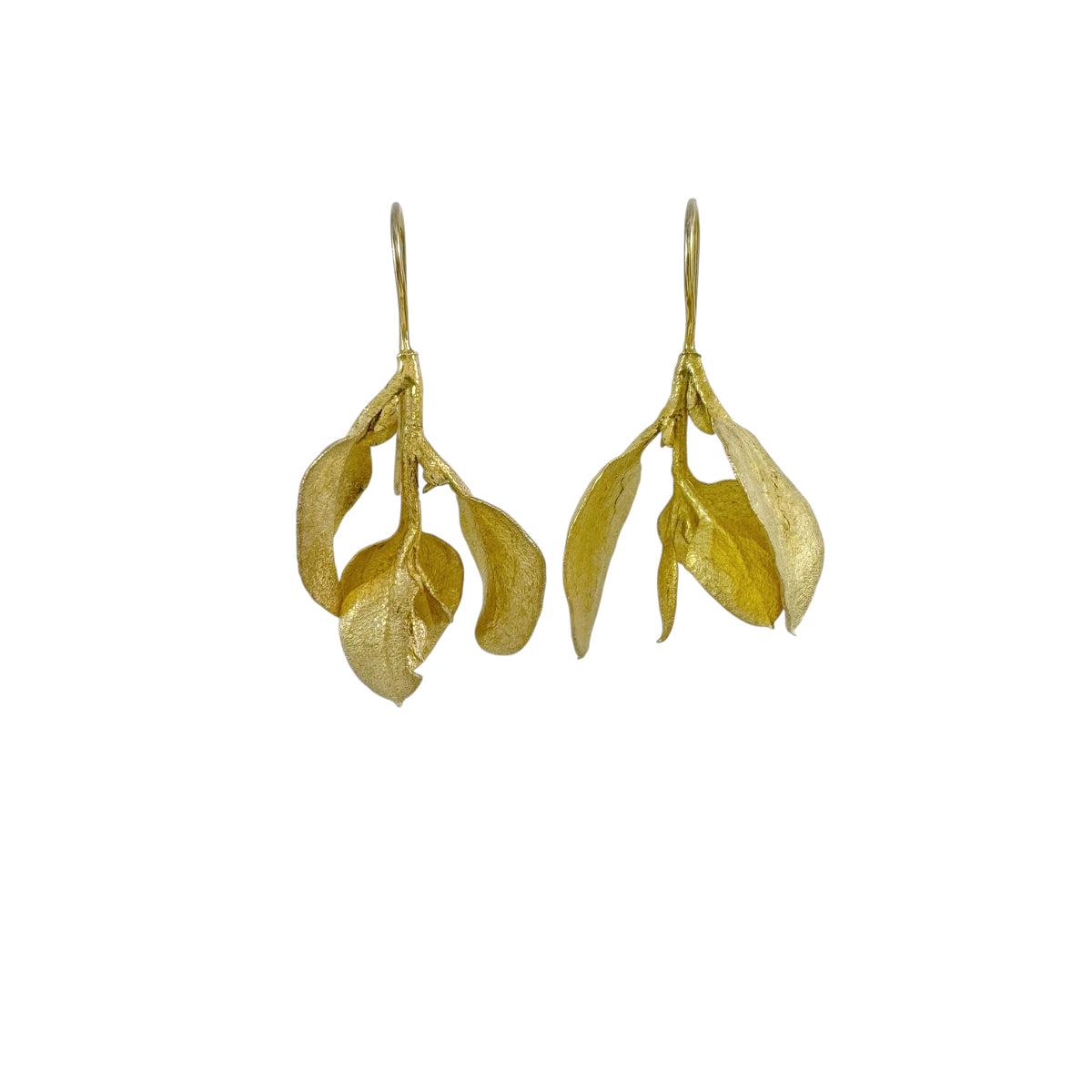 Saltbush Gold Plated Earrings - Anja Jagsch