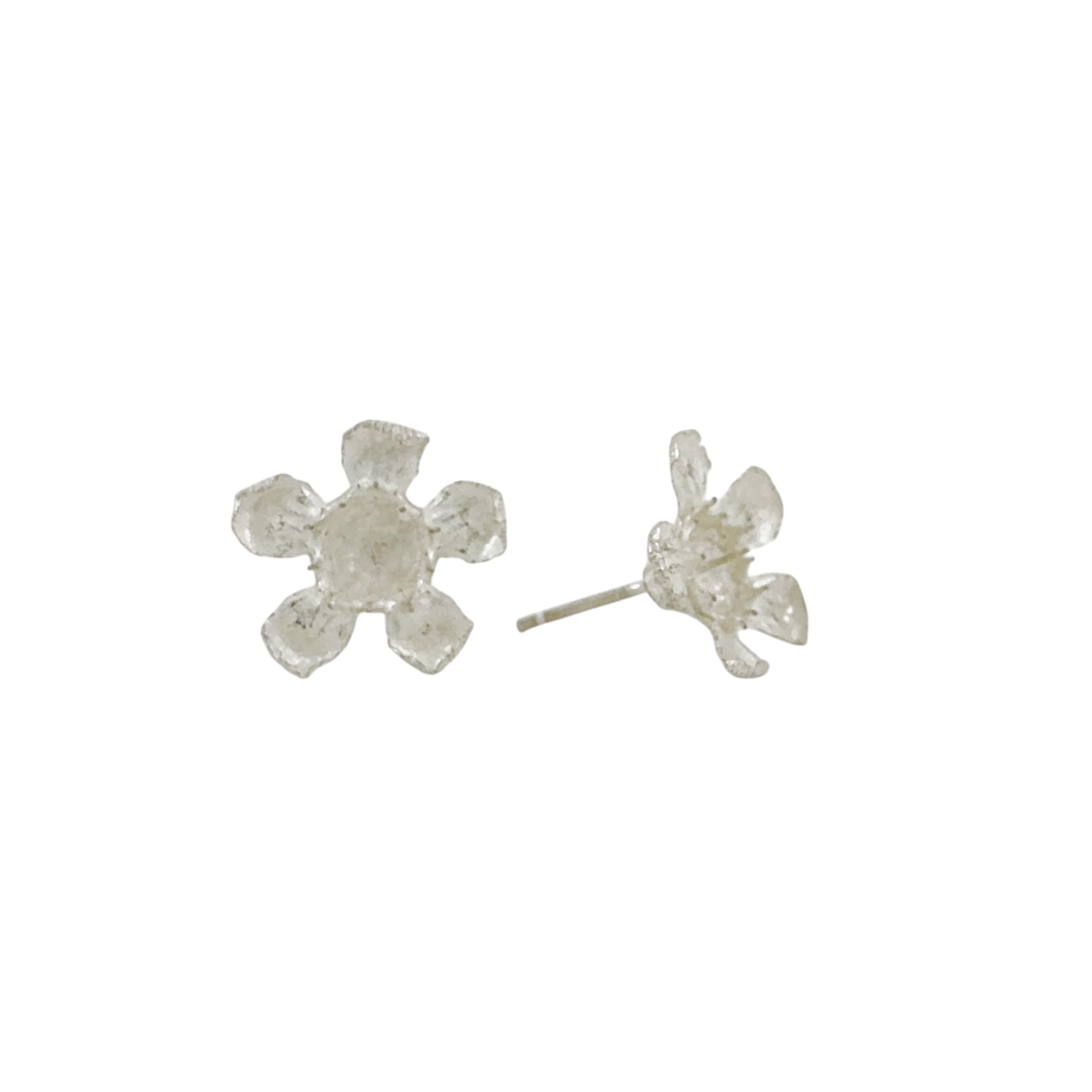 Geraldton Wax Silver Studs - Anja Jagsch