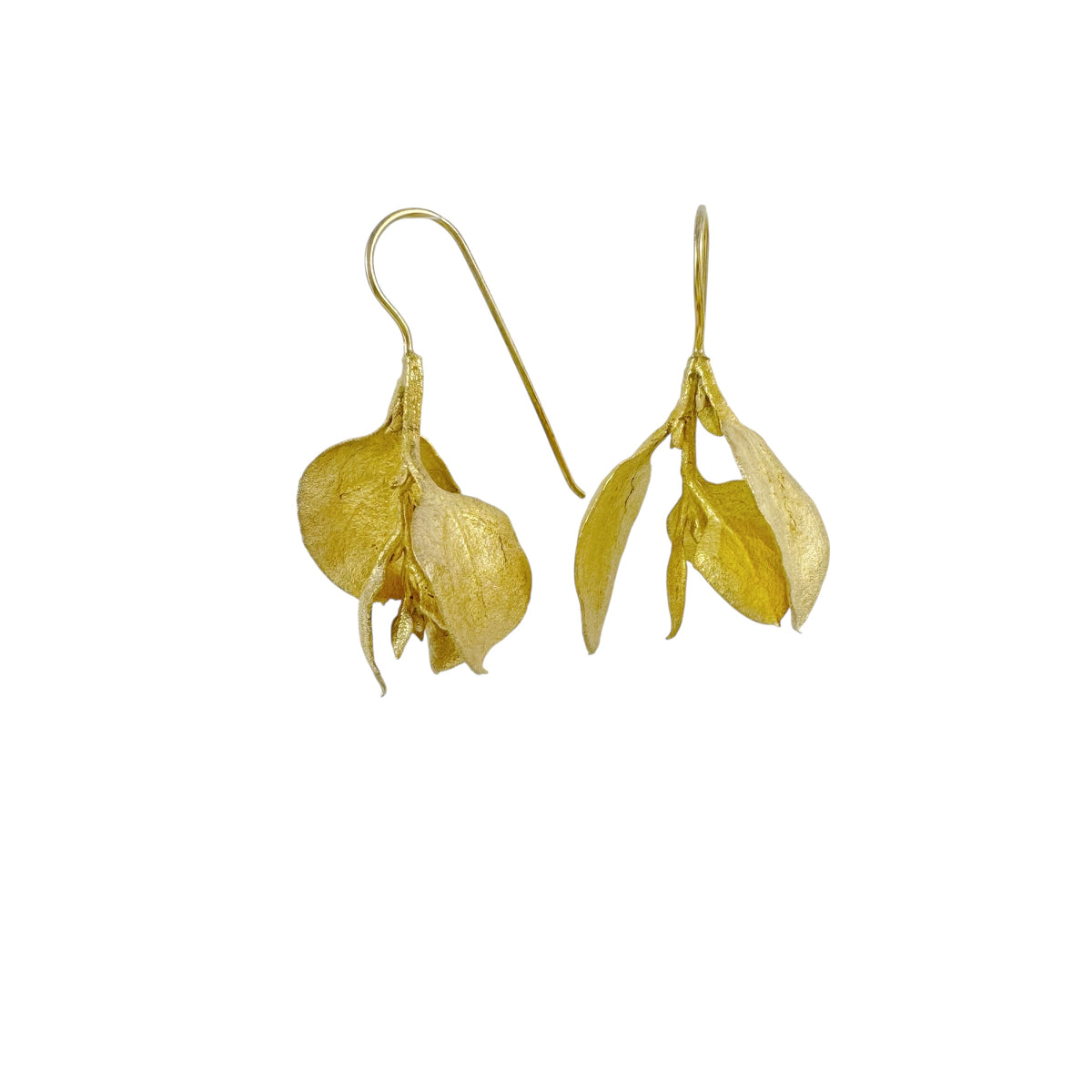 Saltbush Gold Plated Earrings - Anja Jagsch