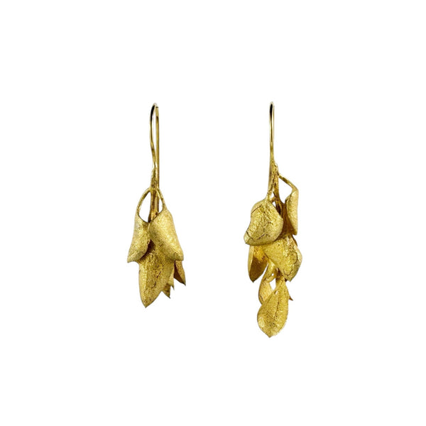 Saltbush Gold Plated Earrings - Anja Jagsch