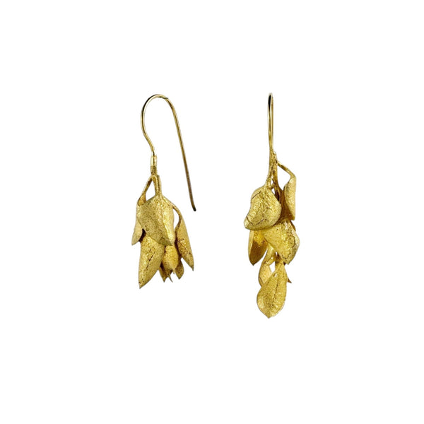 Saltbush Gold Plated Earrings - Anja Jagsch