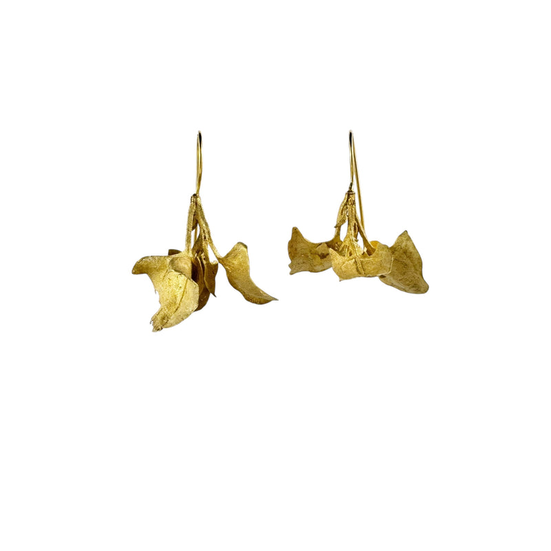 Saltbush Gold Plated Earrings - Anja Jagsch