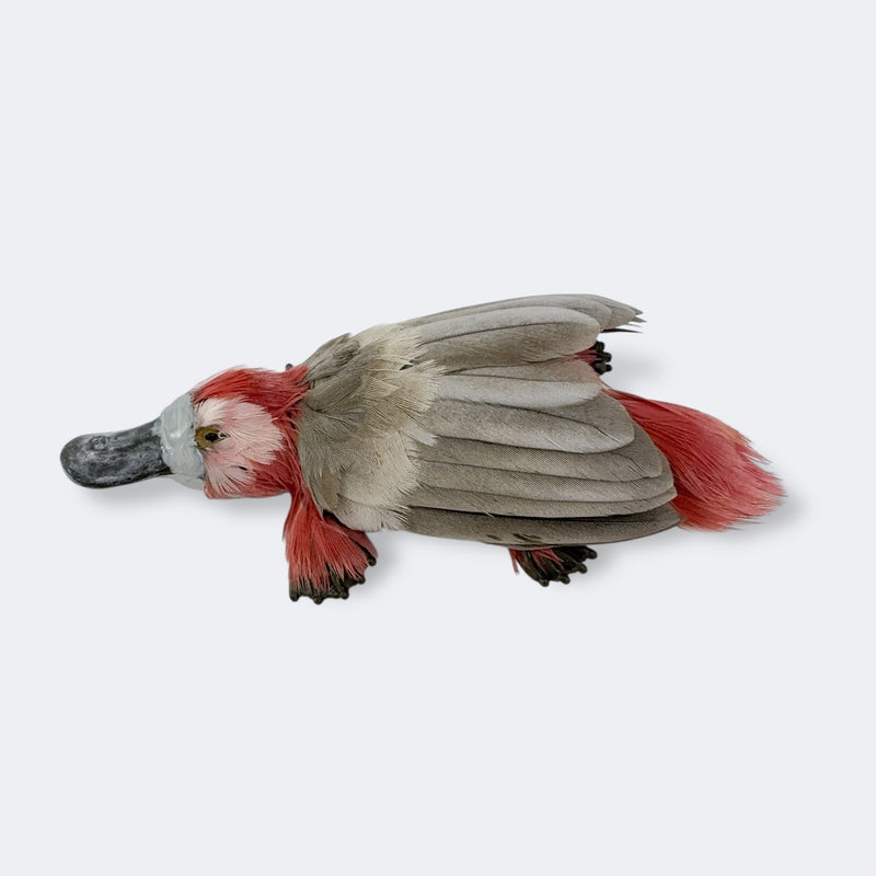Galypus Brooch - Emily Valentine