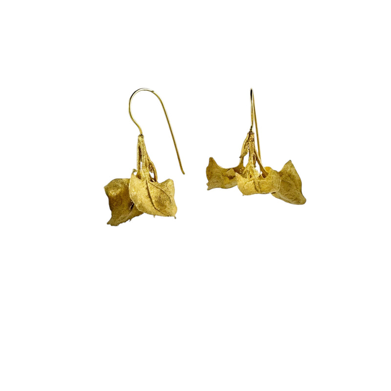 Saltbush Gold Plated Earrings - Anja Jagsch