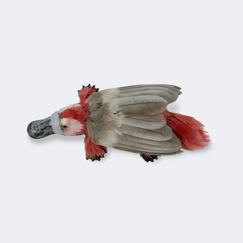Galypus Brooch - Emily Valentine