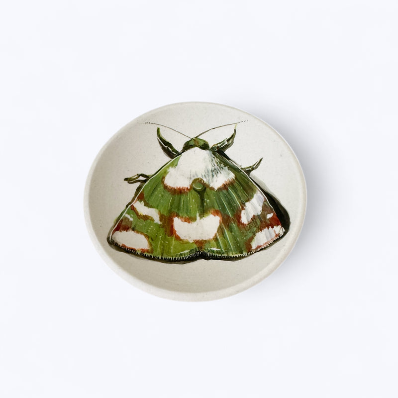 Green Moth Dish - Niharika Hukku