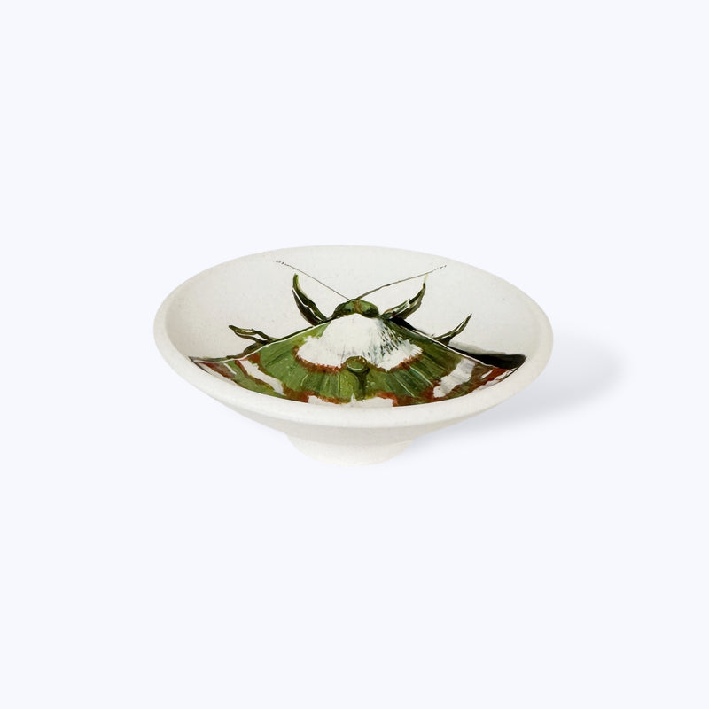 Green Moth Dish - Niharika Hukku