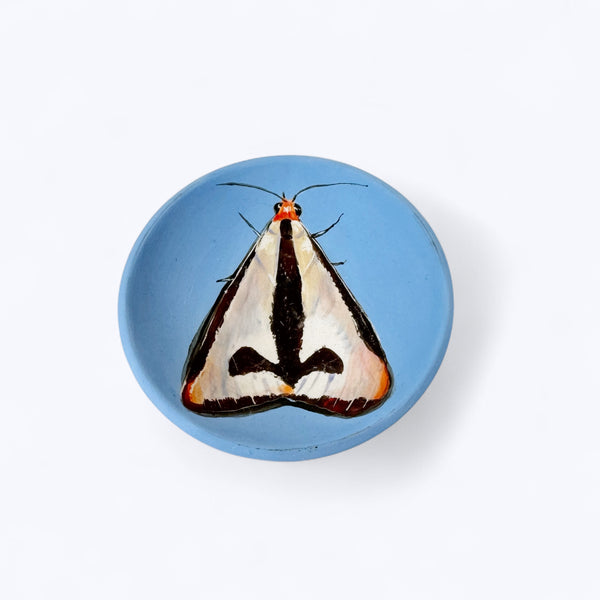 Moth Dish with Blue - Niharika Hukku