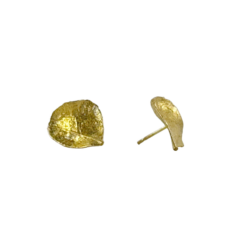 Acacia Gold Studs - Anja Jagsch