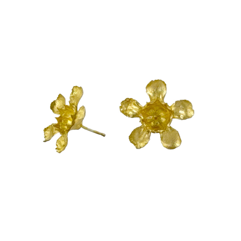 Geraldton Wax Flower Gold Studs - Anja Jagsch