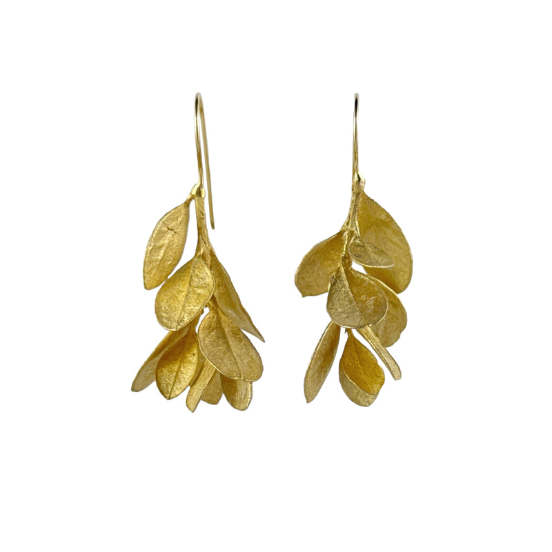 Sea Box Gold Plated Earrings - Anja Jagsch